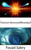 Thorium-Brennstoffkreislauf (eBook, ePUB)