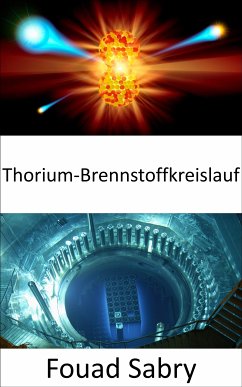 Thorium-Brennstoffkreislauf (eBook, ePUB) - Sabry, Fouad