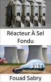 Réacteur À Sel Fondu (eBook, ePUB)