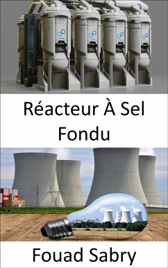 Réacteur À Sel Fondu (eBook, ePUB) - Sabry, Fouad