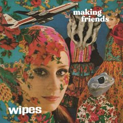 Making Friends - Wipes