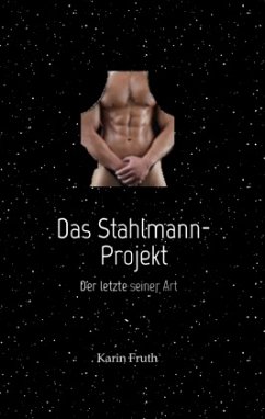 Das Stahlmann-Projekt - Fruth, Karin