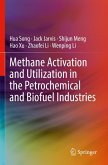 Methane Activation and Utilization in the Petrochemical and Biofuel Industries