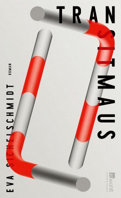 Transitmaus (eBook, ePUB) - Sichelschmidt, Eva