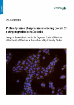 Protein tyrosine phosphatase interacting protein 51 during migration in HaCat cells - Schubkegel, Eva