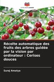 Récolte automatique des fruits des arbres guidée par la vision par ordinateur : Cerises douces
