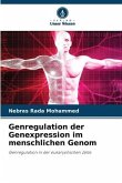Genregulation der Genexpression im menschlichen Genom