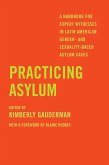 Practicing Asylum (eBook, ePUB)