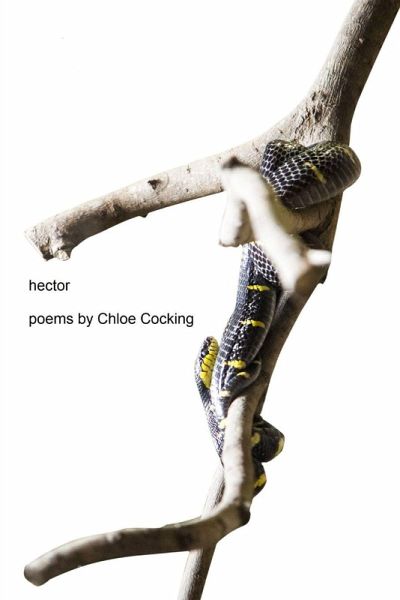 Hector Hector