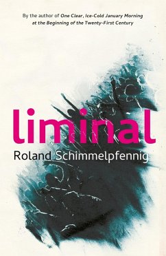 Liminal (eBook, ePUB) - Schimmelpfennig, Roland