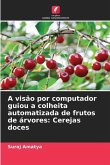 A visão por computador guiou a colheita automatizada de frutos de árvores: Cerejas doces