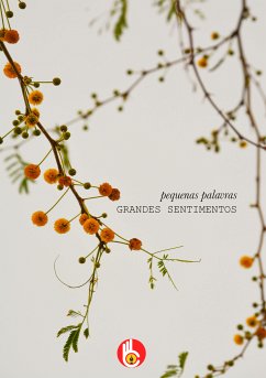 pequenas palavras Grandes Sentimentos (eBook, ePUB) - Autores, Vários