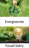 Energieernte (eBook, ePUB)