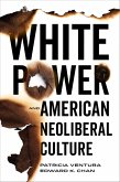 White Power and American Neoliberal Culture (eBook, ePUB)