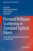 Forward Brillouin Scattering in Standard Optical Fibers (eBook, PDF)