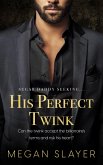 His Perfect Twink (eBook, ePUB)