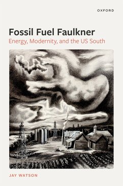 Cover Fossil-Fuel Faulkner (eBook, PDF)