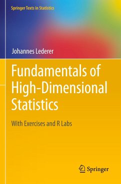 Fundamentals of High-Dimensional Statistics - Lederer, Johannes