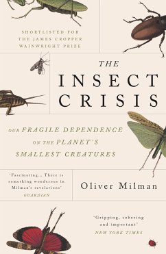 The Insect Crisis - Milman, Oliver