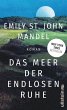 Das Meer der endlosen Ruhe (eBook, ePUB) - Bild 1