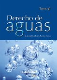 Derecho de Aguas Tomo VI (eBook, PDF)