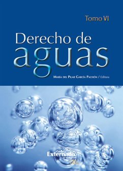 Derecho de Aguas Tomo VI (eBook, PDF) - García Pachón, María del Pilar