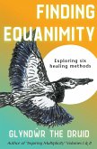 Finding Equanimity