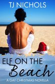 Elf on the Beach (eBook, ePUB)