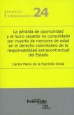 La pérdida de oportunidad y el lucro cesante no consolidado por muerte de menores de edad en el derecho colombiano de la responsabilidad extracontractual del Estado (eBook, PDF)