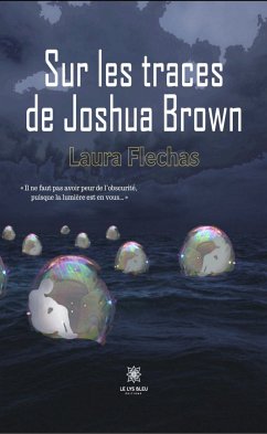 Sur les traces de Joshua Brown (eBook, ePUB) - Flechas, Laura