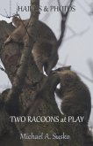 Haikus and Photos: Two Racoons at Play (Nature Haikus & Photos, #3) (eBook, ePUB)