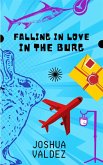 Falling in Love In The Burg (eBook, ePUB)