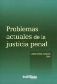 Problemas actuales de la justicia penal (eBook, PDF)