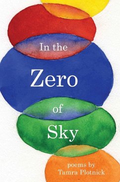 In the Zero of Sky - Plotnick, Tamra