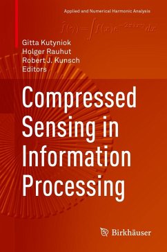 Compressed Sensing in Information Processing (eBook, PDF)