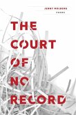 The Court of No Record (eBook, ePUB)