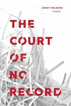 Cover The Court of No Record (eBook, ePUB)