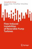 Flow-Induced Instabilities of Reversible Pump Turbines (eBook, PDF)