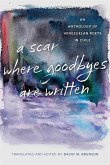 A Scar Where Goodbyes Are Written (eBook, ePUB)