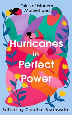 Hurricanes in Perfect Power Cover Hurricanes in Perfect Power