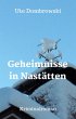 Geheimnisse in Nastätten (eBook, ePUB) - Bild 1