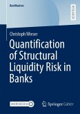 Quantification of Structural Liquidity Risk in Banks (eBook, PDF)