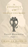 Fossil Mammalia - Part I - The Zoology of the Voyage of H.M.S Beagle Fossil Mammalia - Part I - The Zoology of the Voyage of H.M.S Beagle