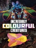 Incredibly Colourful Creatures