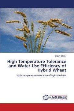 High Temperature Tolerance and Water-Use Efficiency of Hybrid Wheat
