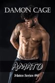 Amato (eBook, ePUB)