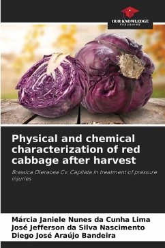 Physical and chemical characterization of red cabbage after harvest - Nunes da Cunha Lima, Márcia Janiele;Nascimento, José Jefferson da Silva;Araújo Bandeira, Diego José