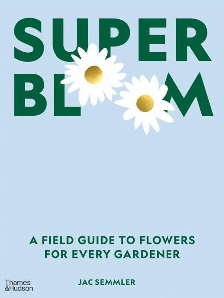 Super Bloom Super Bloom