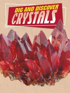Dig and Discover Crystals - Amin, Anita Nahta