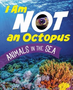 I Am Not an Octopus - Bolte, Mari